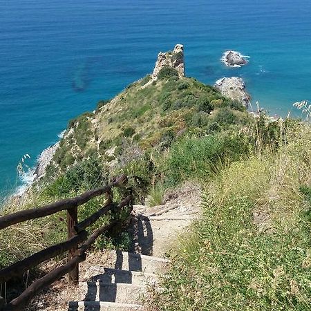 Casa Vacanze Poggio Degli Ulivi Villa Ascea Exterior foto