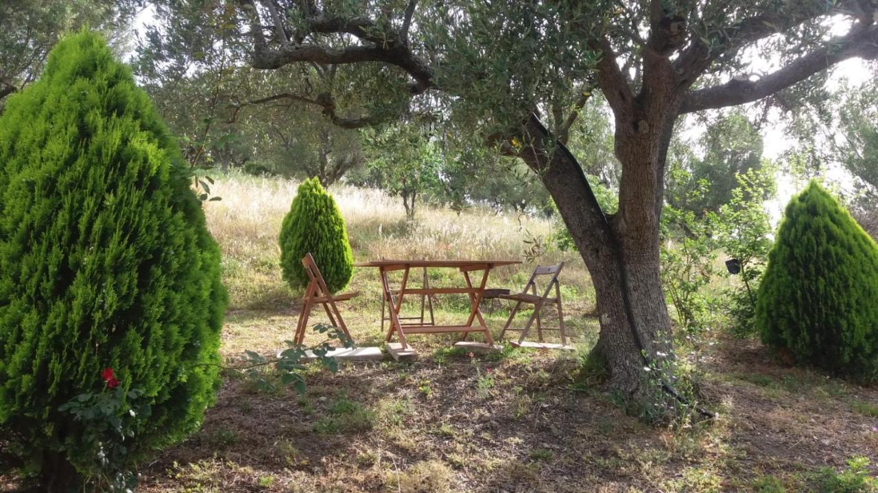 Casa Vacanze Poggio Degli Ulivi Villa Ascea Exterior foto