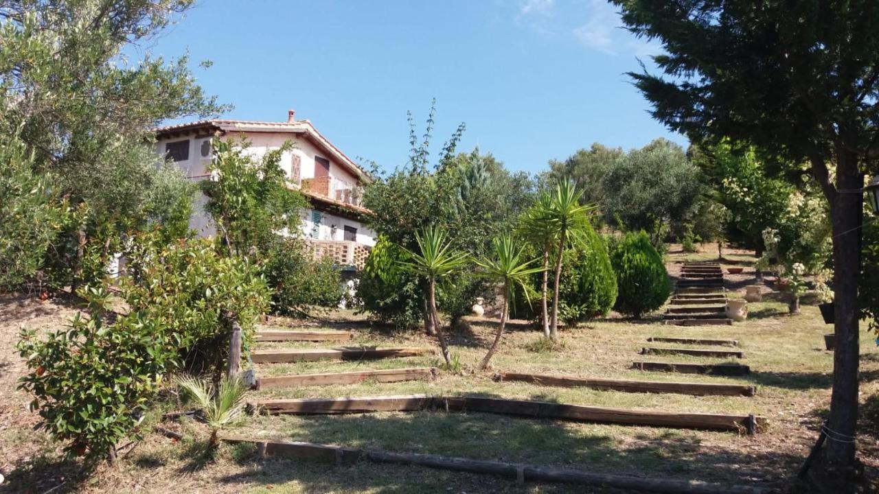 Casa Vacanze Poggio Degli Ulivi Villa Ascea Exterior foto