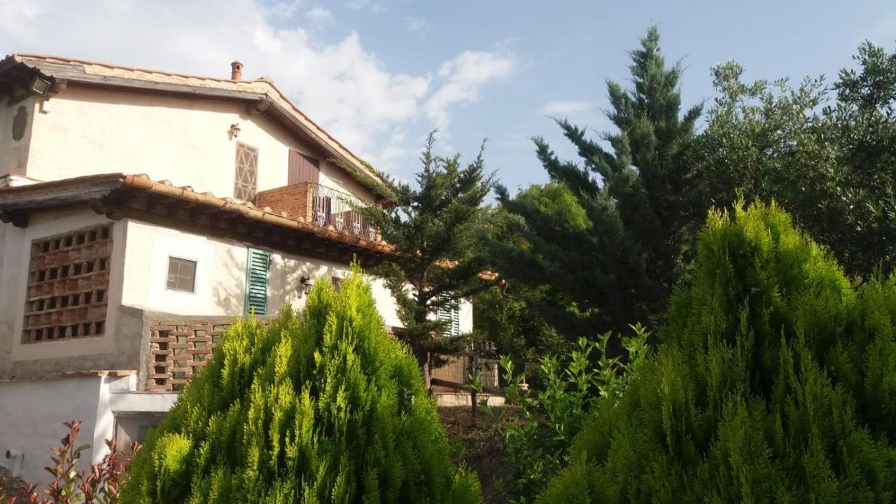 Casa Vacanze Poggio Degli Ulivi Villa Ascea Exterior foto