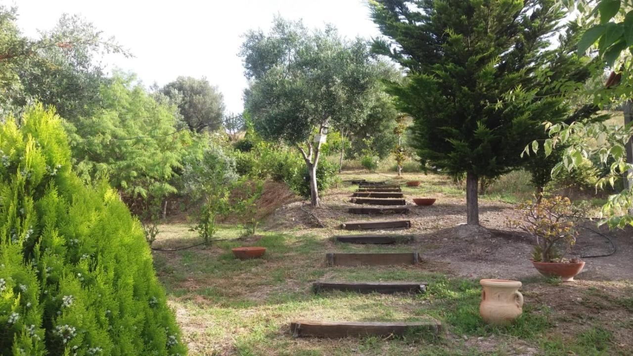 Casa Vacanze Poggio Degli Ulivi Villa Ascea Exterior foto