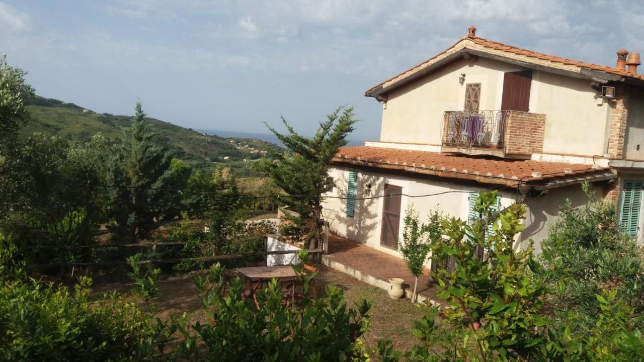 Casa Vacanze Poggio Degli Ulivi Villa Ascea Exterior foto