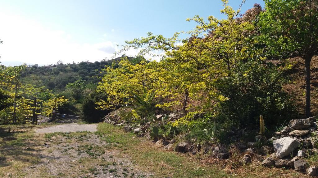 Casa Vacanze Poggio Degli Ulivi Villa Ascea Exterior foto