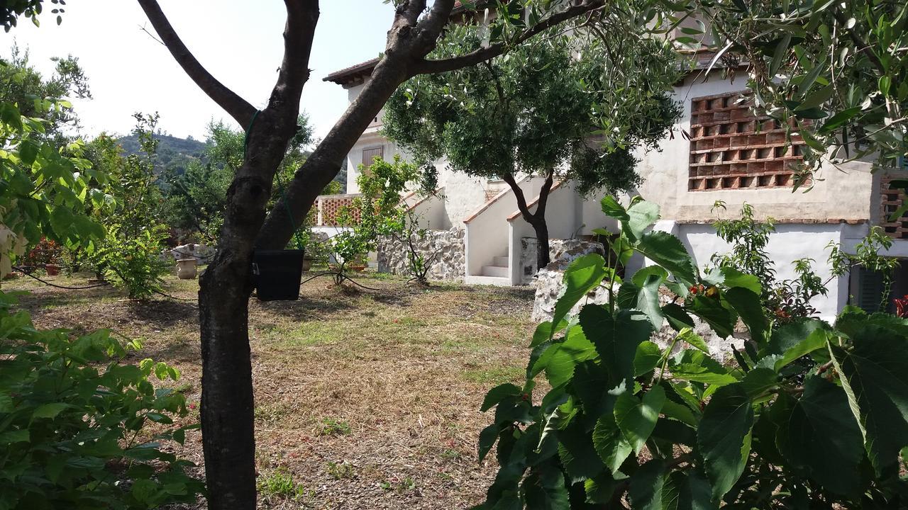 Casa Vacanze Poggio Degli Ulivi Villa Ascea Exterior foto