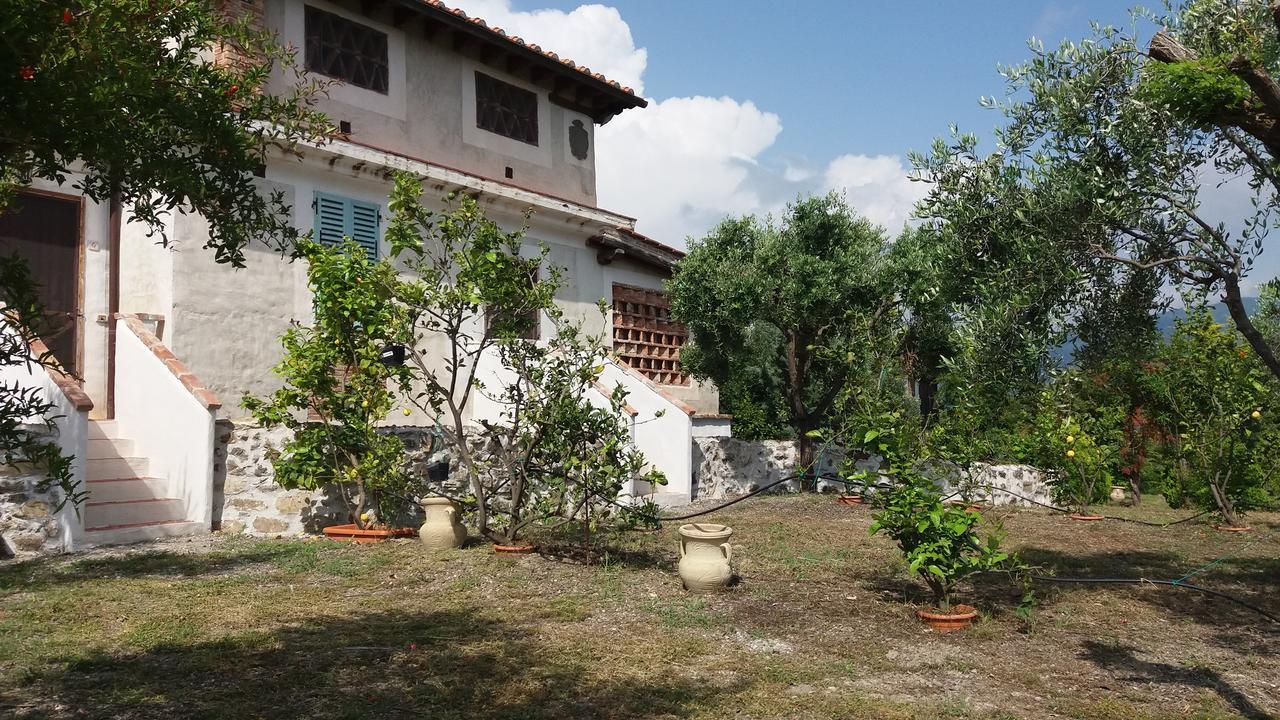 Casa Vacanze Poggio Degli Ulivi Villa Ascea Exterior foto