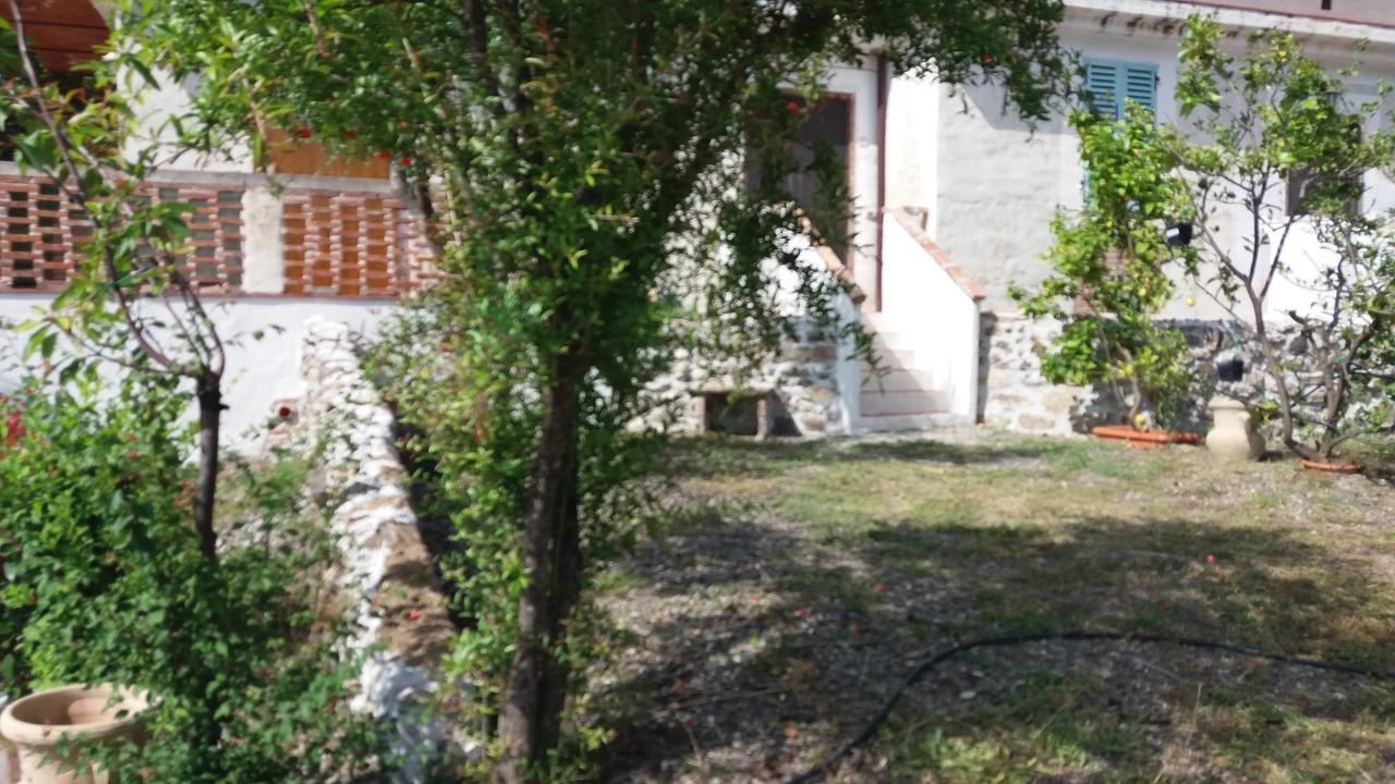 Casa Vacanze Poggio Degli Ulivi Villa Ascea Exterior foto