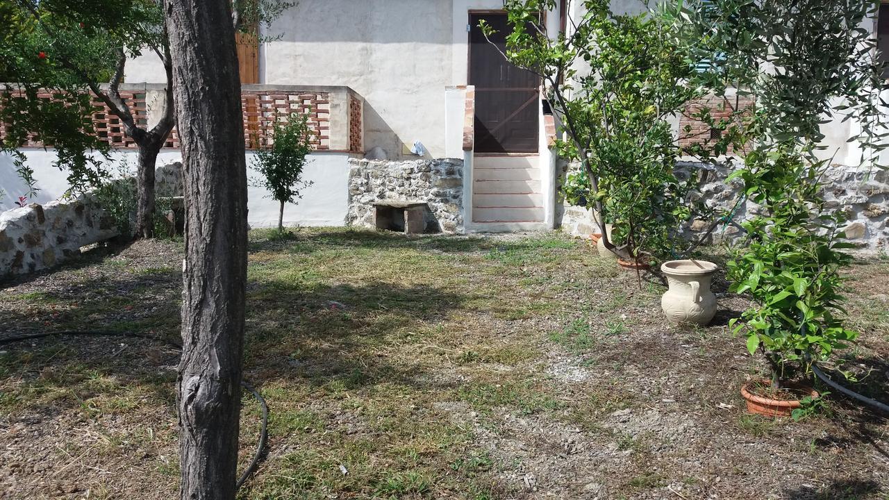 Casa Vacanze Poggio Degli Ulivi Villa Ascea Exterior foto