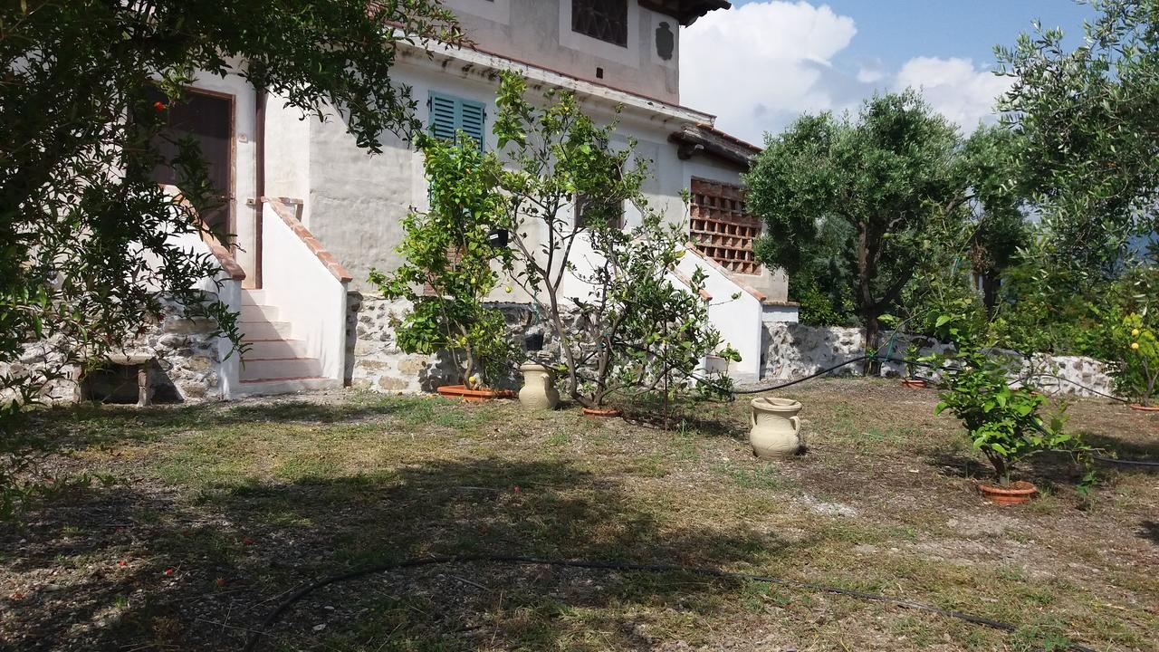 Casa Vacanze Poggio Degli Ulivi Villa Ascea Exterior foto