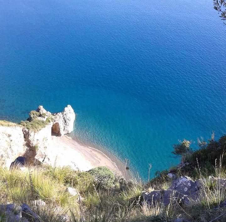 Casa Vacanze Poggio Degli Ulivi Villa Ascea Exterior foto