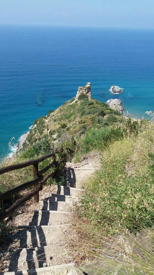 Casa Vacanze Poggio Degli Ulivi Villa Ascea Exterior foto