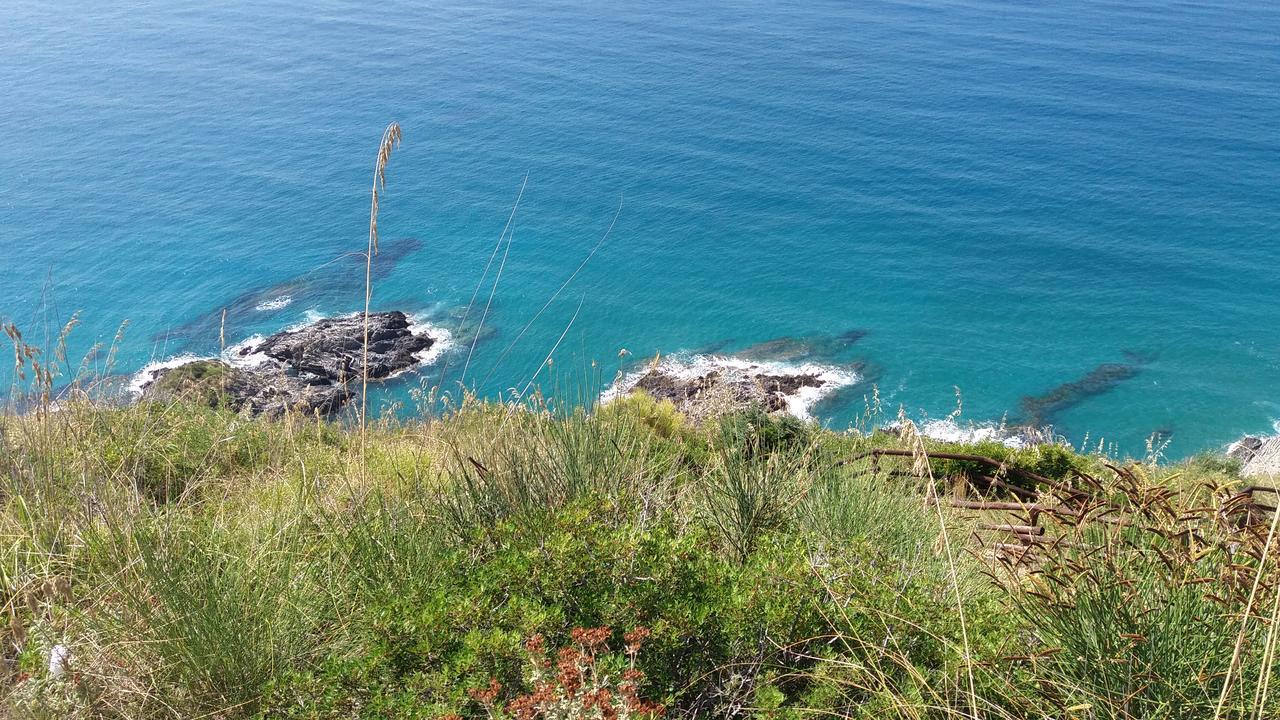 Casa Vacanze Poggio Degli Ulivi Villa Ascea Exterior foto