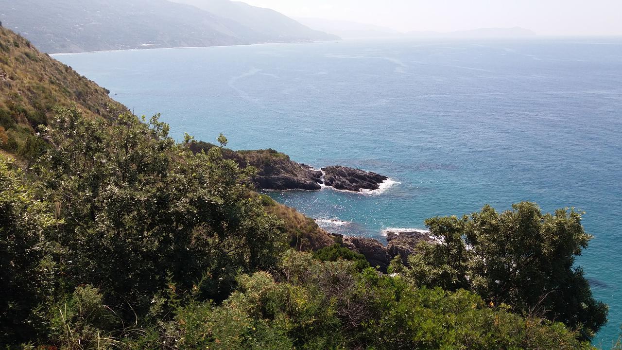 Casa Vacanze Poggio Degli Ulivi Villa Ascea Exterior foto